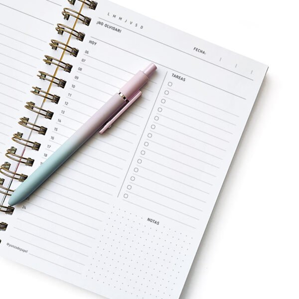 PD02 Plan diario Blossom