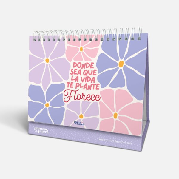 Calendario YP 2026 trio pack